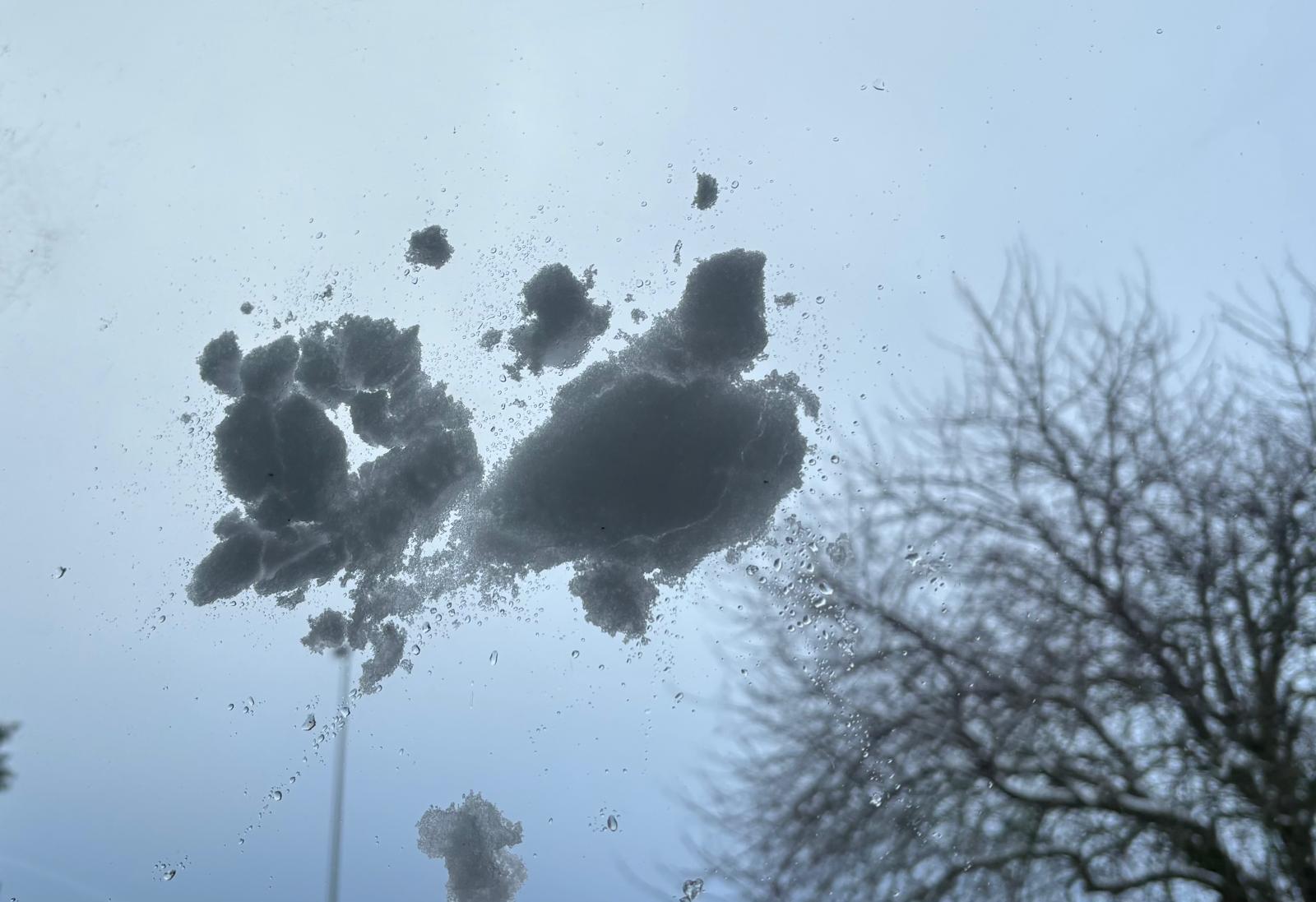 sneeuwbal tegen raam